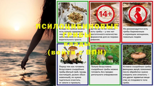 скорость Алзамай