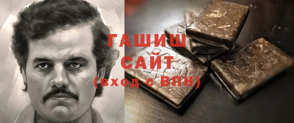 гашик Алексин