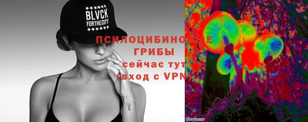 скорость Алзамай
