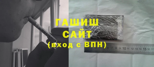 гашик Алексин