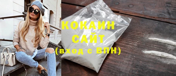 гашик Алексин